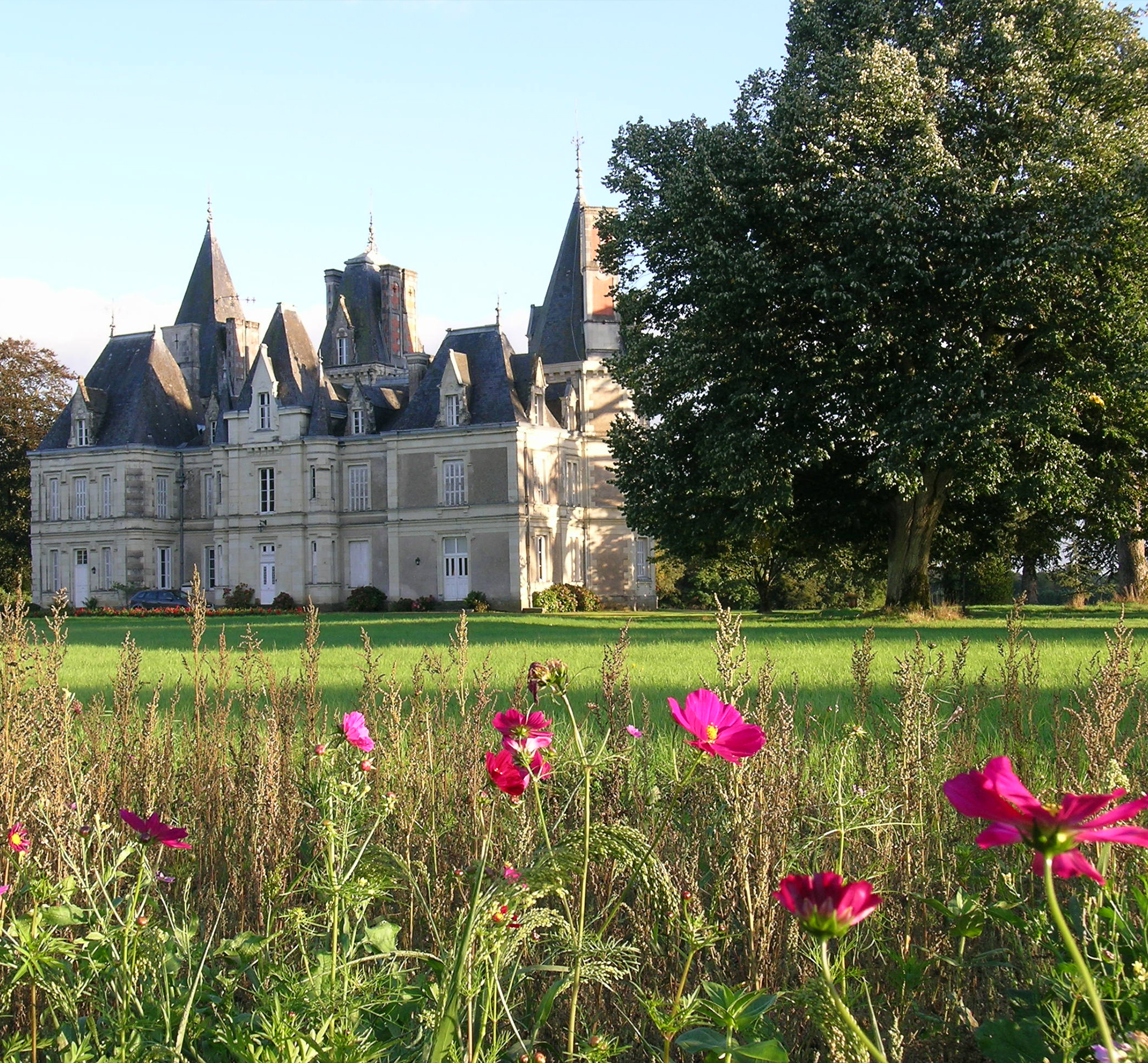 Activités de plein air au Parc du Château du Martreil