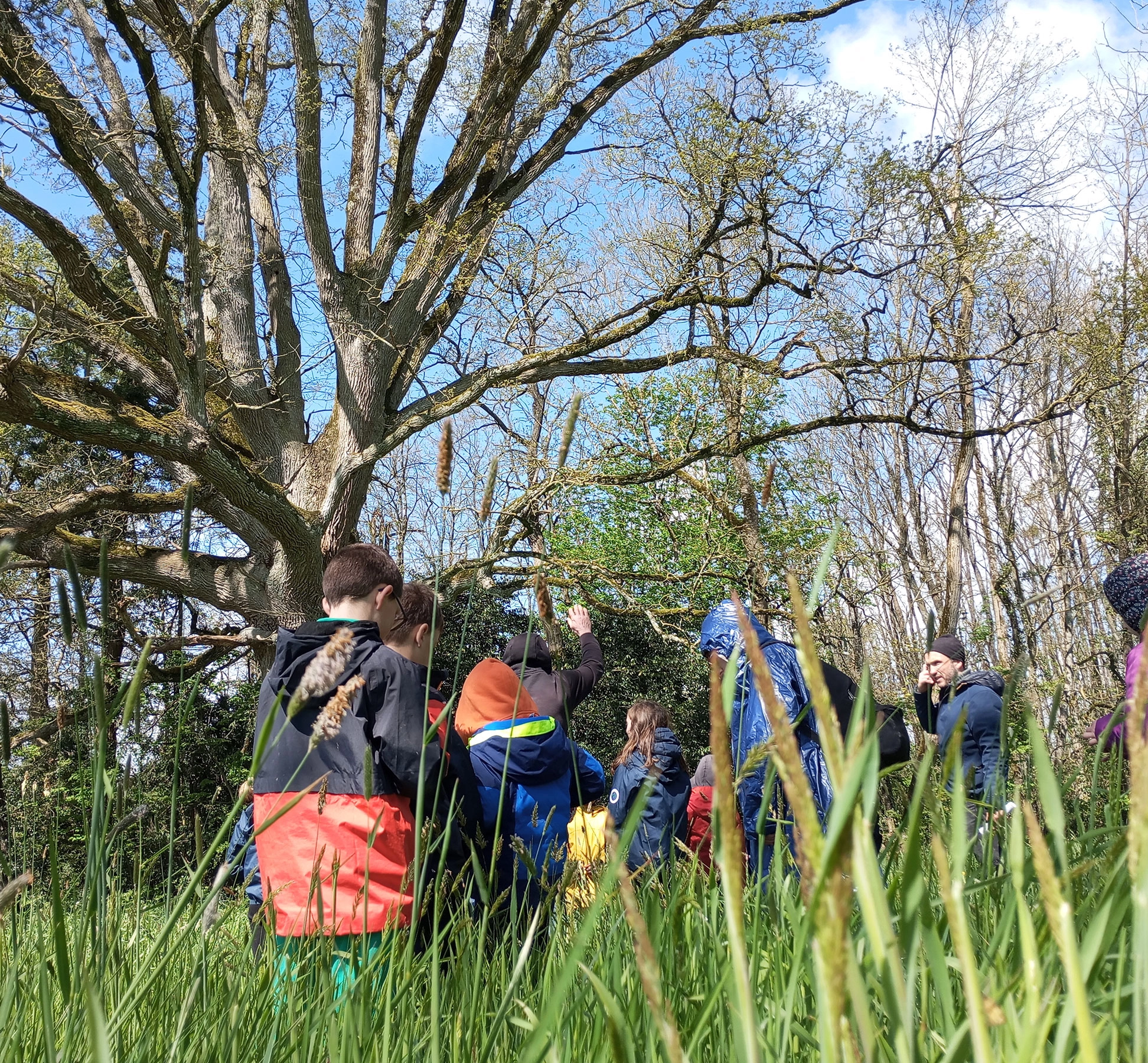 Activités de plein air au Parc du Château du Martreil