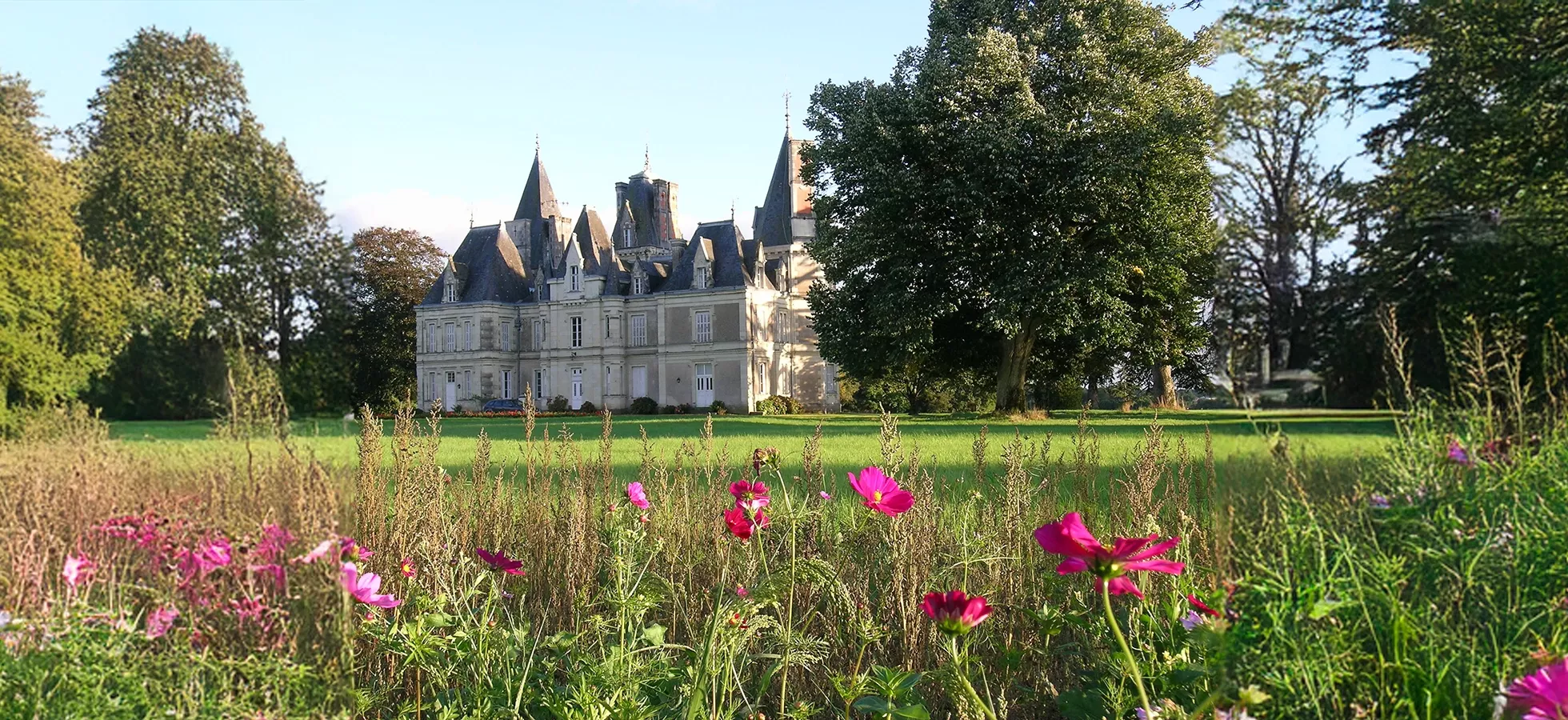 Le Parc Du Château Du Martreil